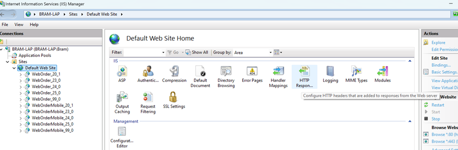 IIS Default Website